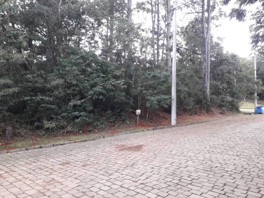 TERRENO EM ÁREA NOBRE