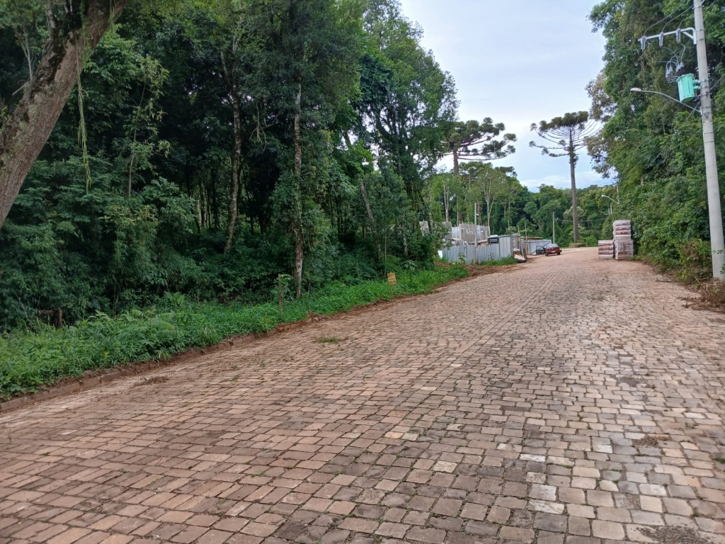 TERRENOS ( LOTEAEMENTO  TOSCANA 1 )